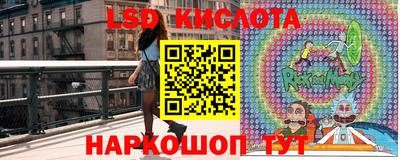 шишки Кунгур
