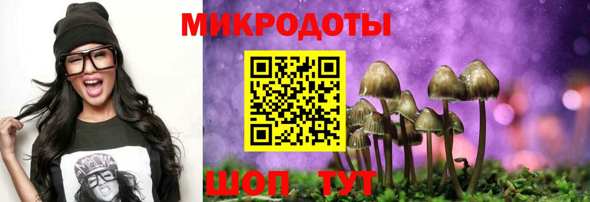Псилоцибиновые грибы Magic Shrooms Урус-Мартан